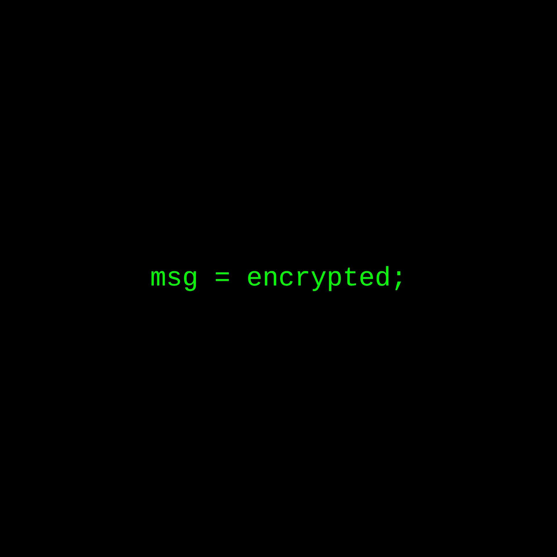 The line "msg = encrypted;" in green monospace type on black.