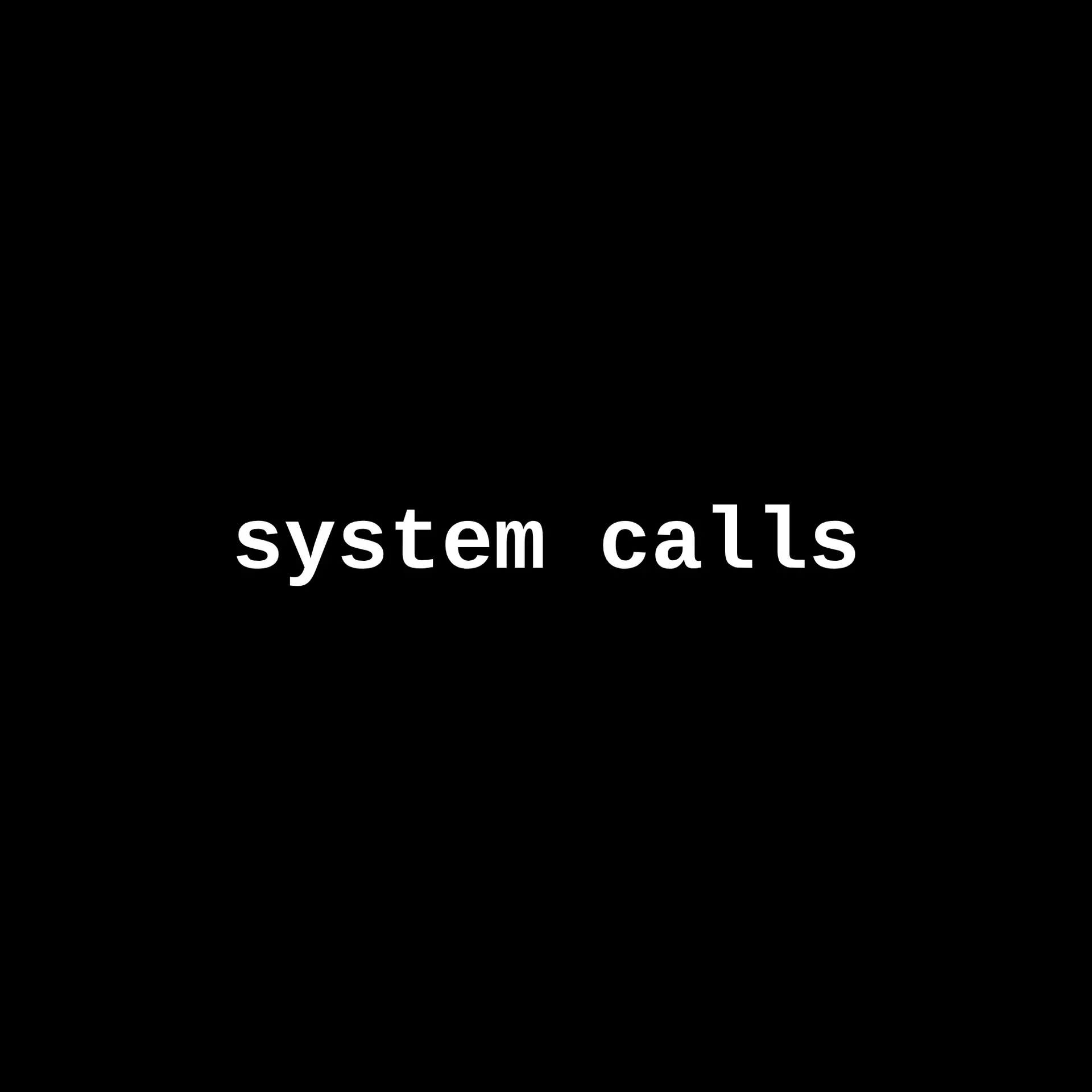The words "system calls" in white monospace type, centred on black.
